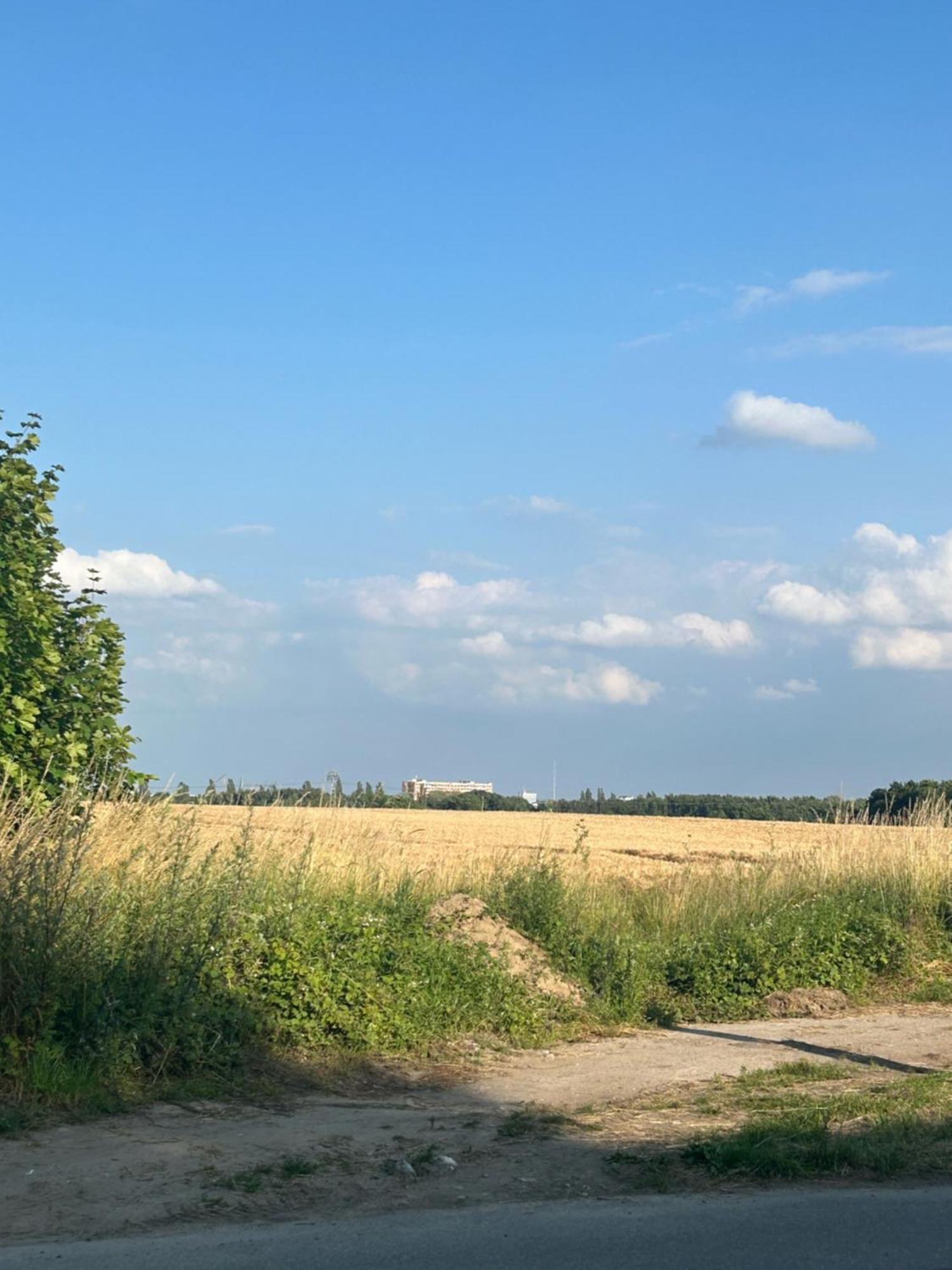 Ferienwohnungen Mit Feldblick Schwerin  Dış mekan fotoğraf